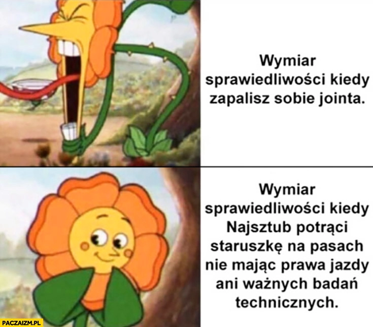 
    Wymiar sprawiedliwości kiedy zapalisz jointa vs kiedy Najsztub potrąci staruszkę na pasach nie mając prawa jazdy