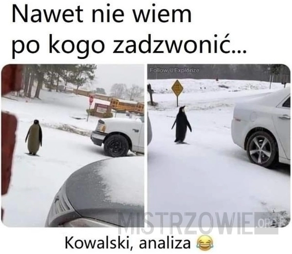 
    Nawet nie wiem po kogo...