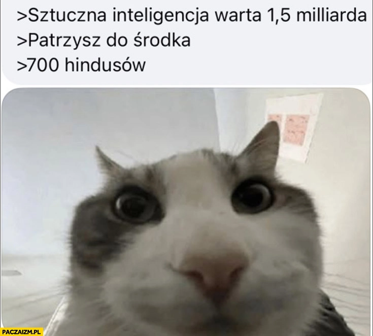 
    Sztuczna inteligencja warta 15 miliarda patrzysz do środka 700 hindusów kot kotek