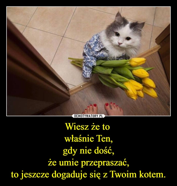 
    Wiesz że to 
właśnie Ten,
gdy nie dość,
że umie przepraszać,
to jeszcze dogaduje się z Twoim kotem.