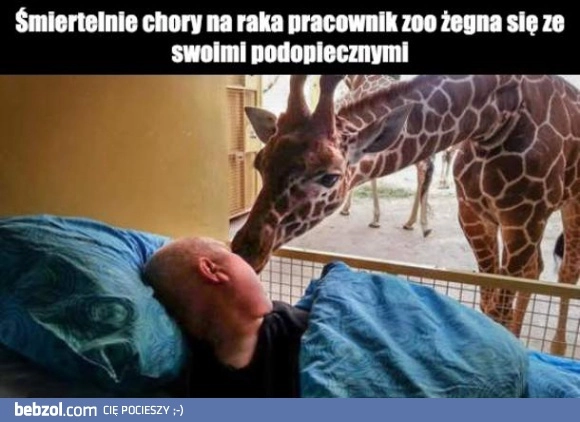 
    Ostatnie pożegnanie