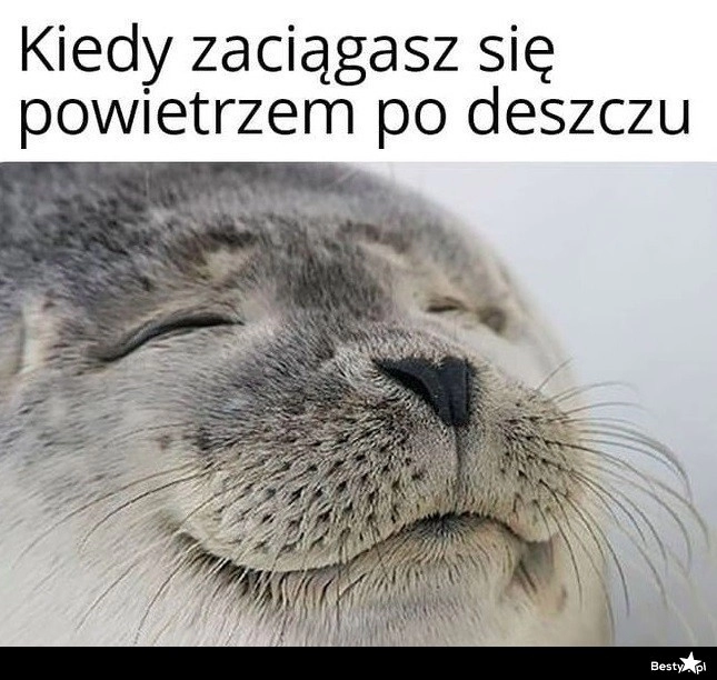 
    Powietrze po deszczu 