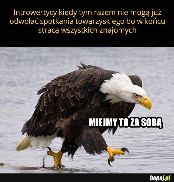 
    Szybkie piwo i do domu