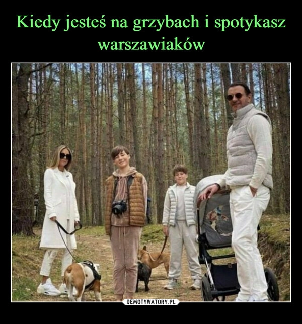 
    Kiedy jesteś na grzybach i spotykasz warszawiaków