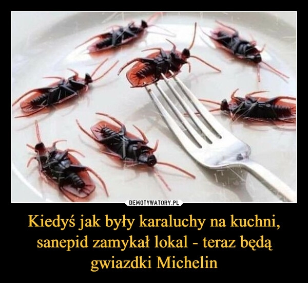 
    Kiedyś jak były karaluchy na kuchni, sanepid zamykał lokal - teraz będą gwiazdki Michelin