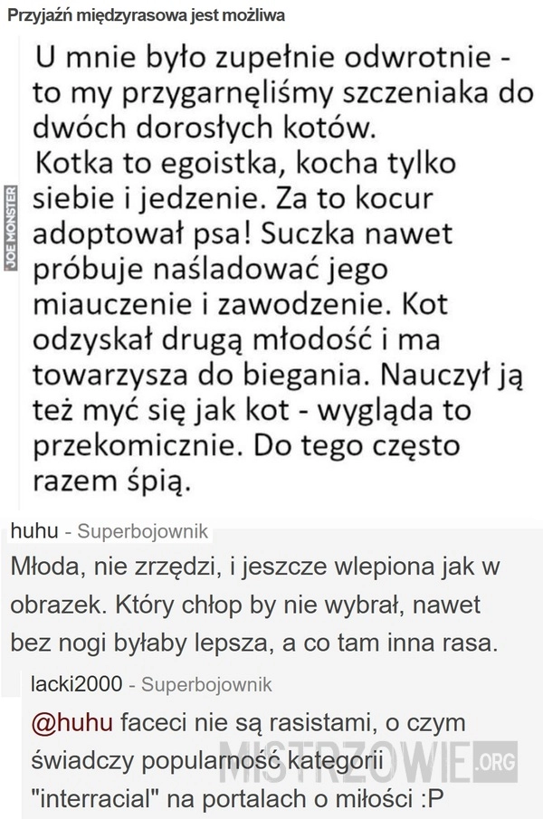 
    Przyjaźń międzyrasowa jest możliwa