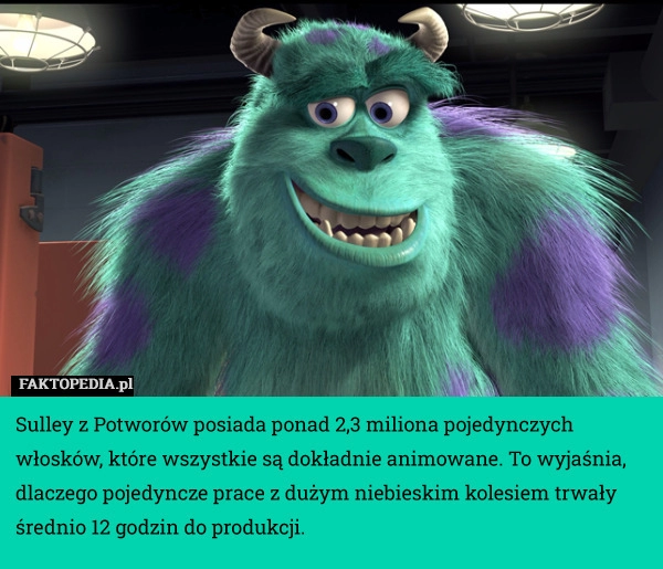 
    Sulley z Potworów posiada ponad 2,3 miliona pojedynczych włosków, które