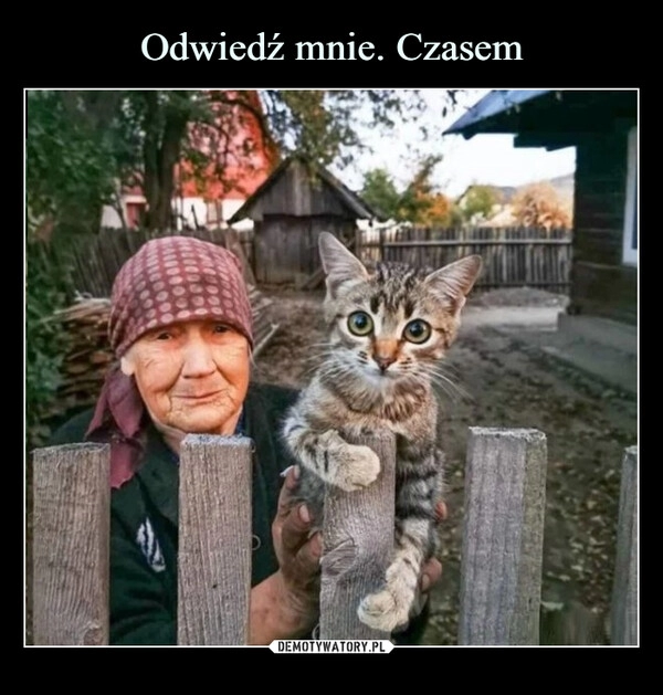 
    Odwiedź mnie. Czasem