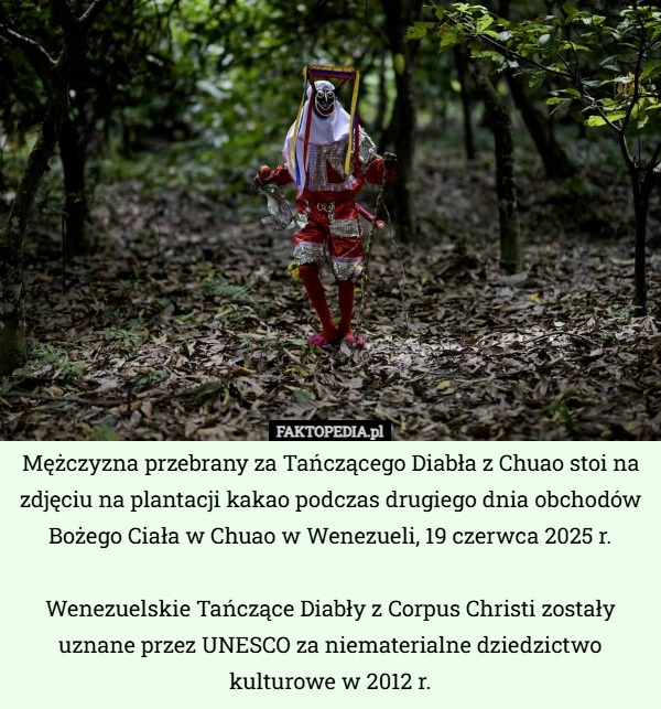 
    Mężczyzna przebrany za Tańczącego Diabła z Chuao stoi na zdjęciu na plantacji...