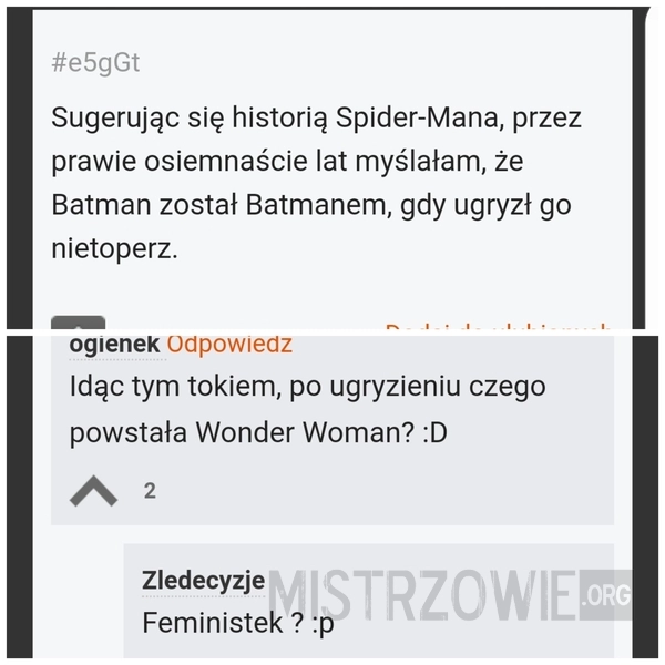 
    Feministki