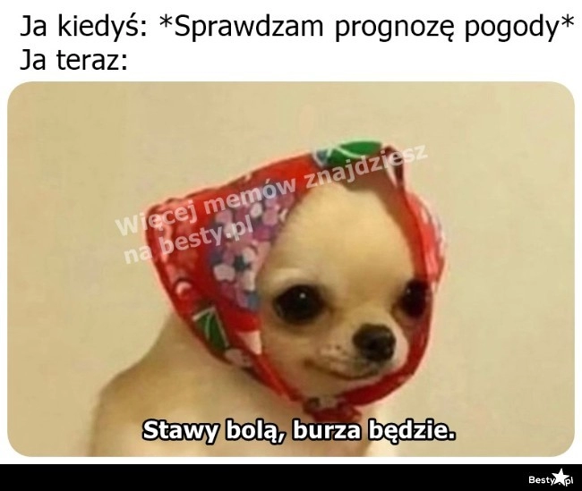 
    Przepowiednie meteopaty 