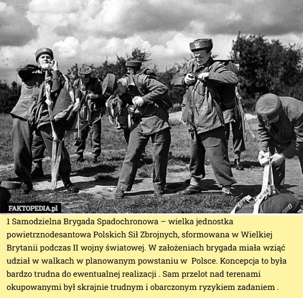 
    1 Samodzielna Brygada Spadochronowa – wielka jednostka powietrznodesantowa