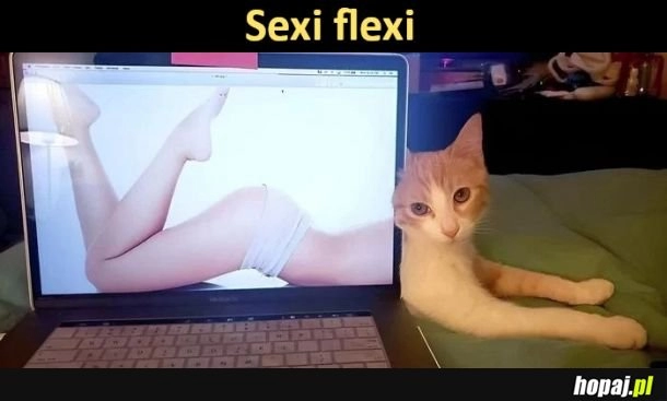 
    Sexi flexi