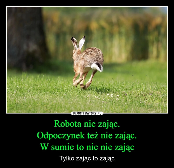 
    Robota nie zając.
Odpoczynek też nie zając.
W sumie to nic nie zając