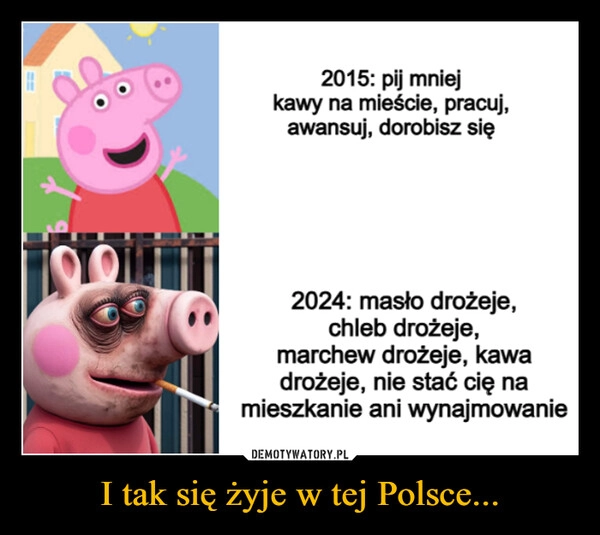 
    I tak się żyje w tej Polsce...