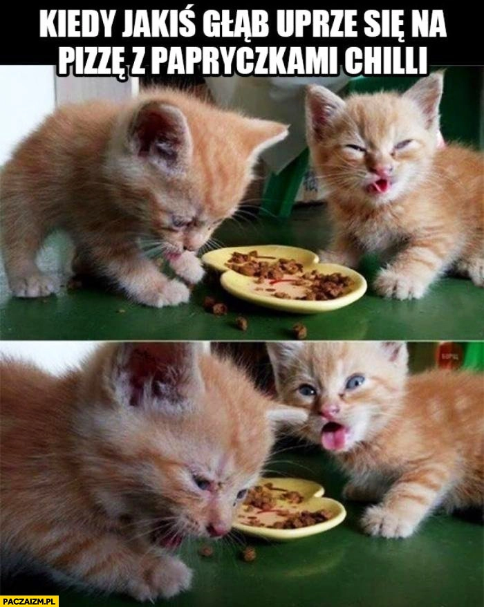 
    Kiedy jakiś głąb uprze się na pizze z papryczkami chilli koty