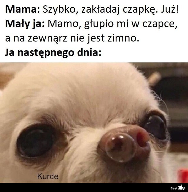 
    Było słuchać mamy 