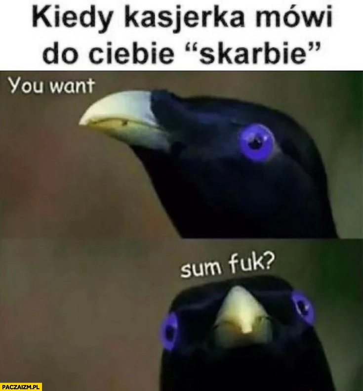 
    Kiedy kasjerka mówi do Ciebie skarbie, you want sum fuk? ptak