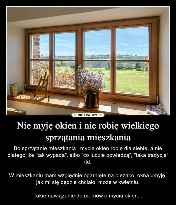 
    Nie myję okien i nie robię wielkiego sprzątania mieszkania