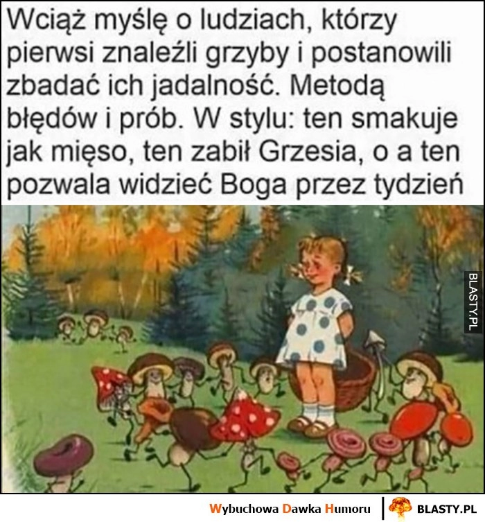 
    Wciąż myślę o ludziach, którzy pierwsi badali jadalność grzybów metodą prób i błędów