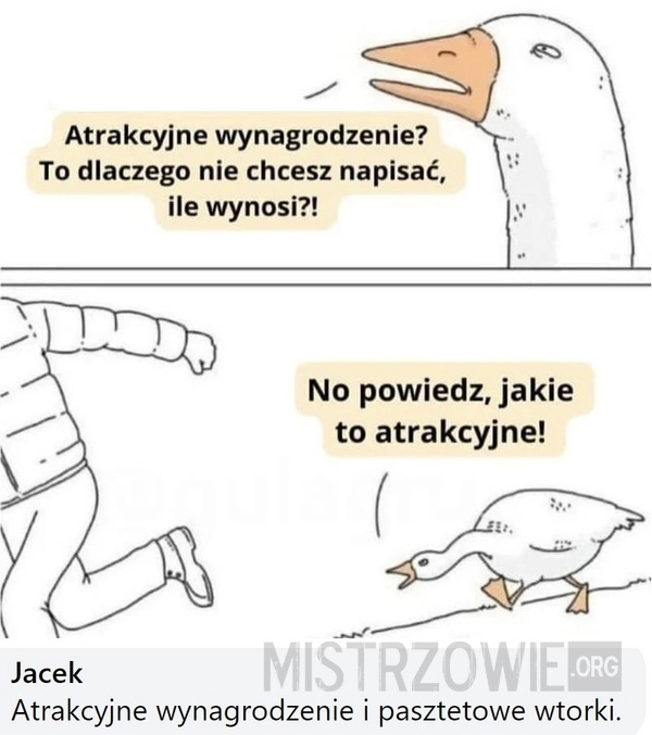 
    Atrakcyjne wynagrodzenie