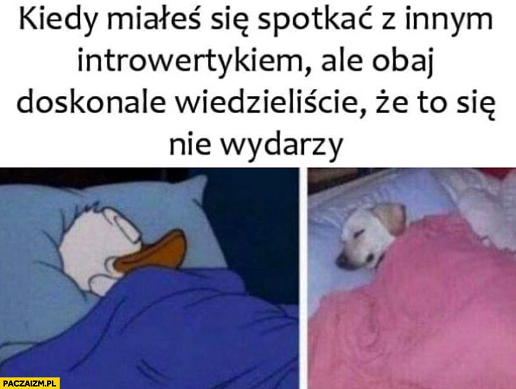 
    Kiedy miałeś się spotkać z innym introwertykiem ale obaj doskonale wiedzieliście, że to się nie wydarzy