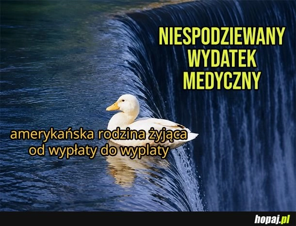 
    Życie w Stanach