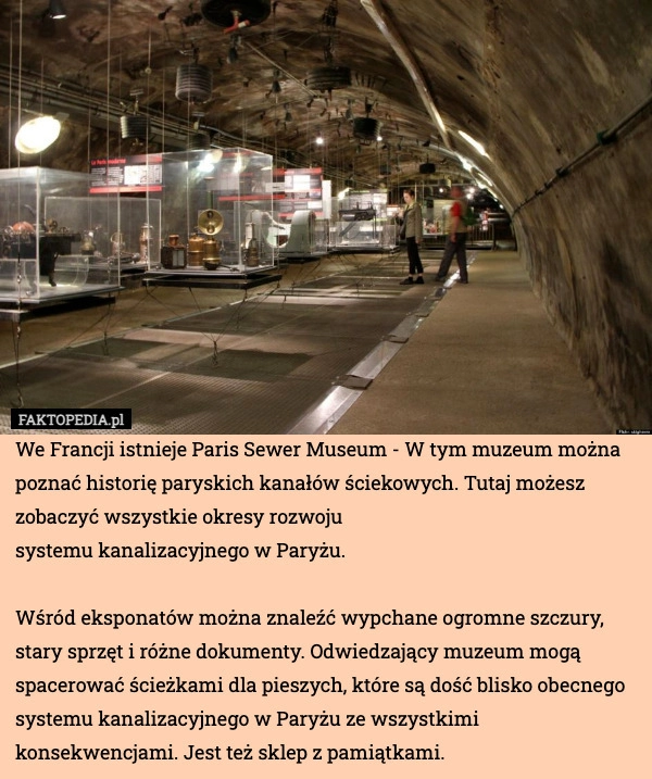 
    We Francji istnieje Paris Sewer Museum - W tym muzeum można poznać historię