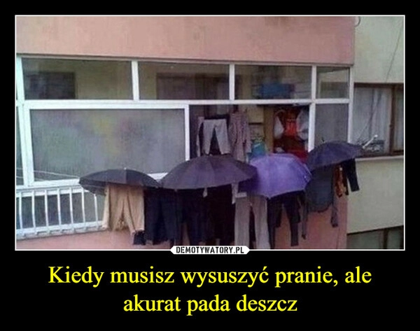 
    Kiedy musisz wysuszyć pranie, ale akurat pada deszcz 