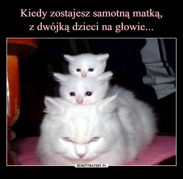 
    Kiedy zostajesz samotną matką,
z dwójką dzieci na głowie...