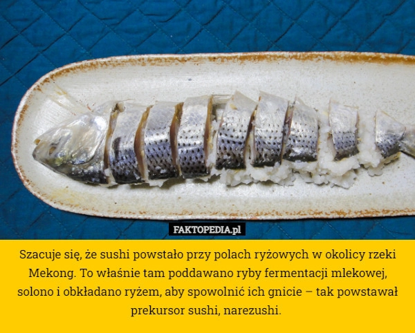 
    Szacuje się, że sushi powstało przy polach ryżowych w okolicy rzeki Mekong.