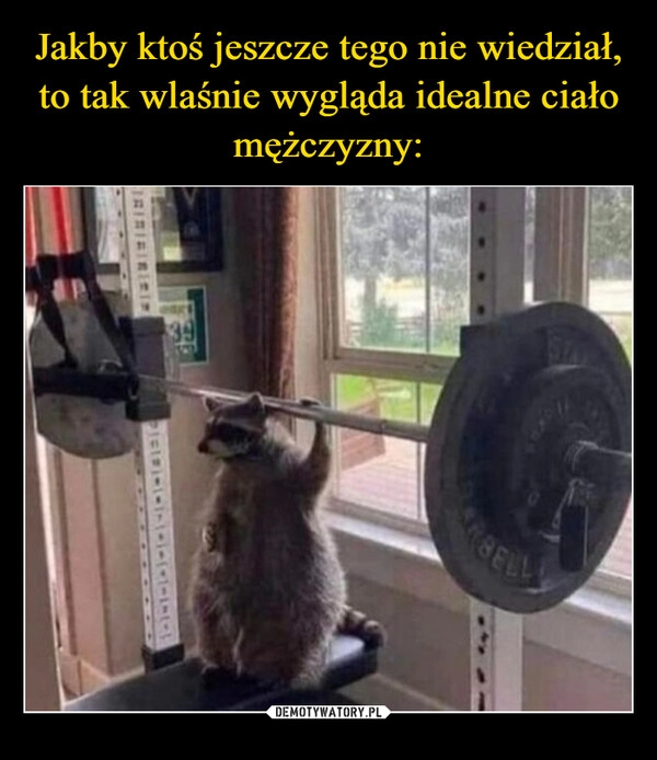 
    Jakby ktoś jeszcze tego nie wiedział, to tak wlaśnie wygląda idealne ciało mężczyzny: