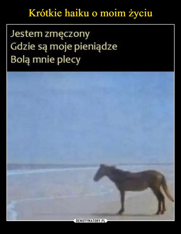 
    Krótkie haiku o moim życiu