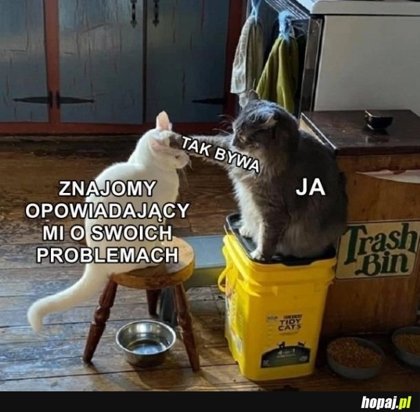 
    Słuchacz