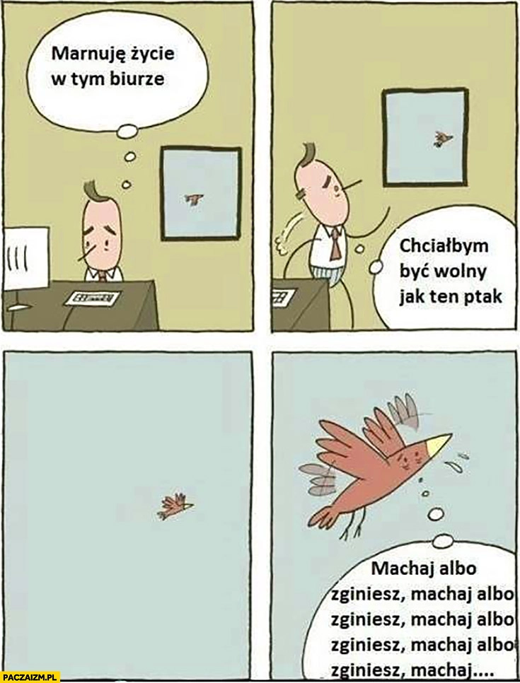 
    Marnuję życie w tym biurze, chciałbym być wolny jak ten ptak. Machaj albo zginiesz
