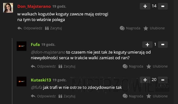 
    Walki kogutów