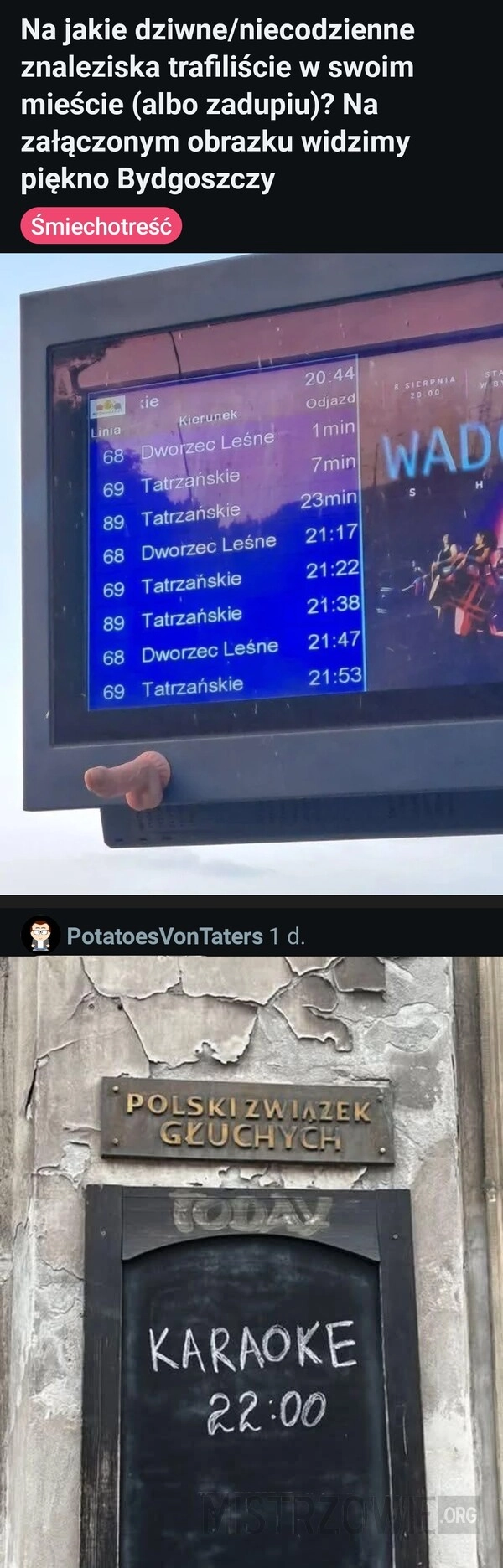 
    Niecodzienne znaleziska