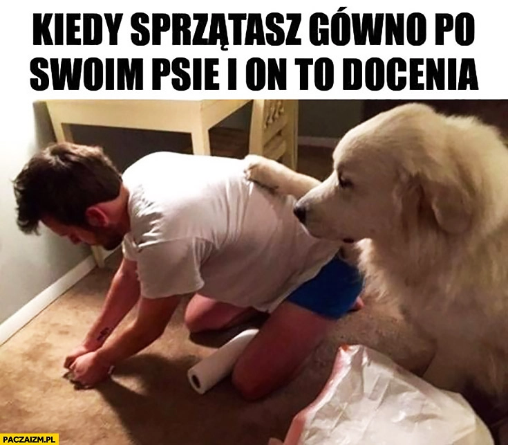 
    Kiedy sprzątasz kupę po swoim psie i on to docenia