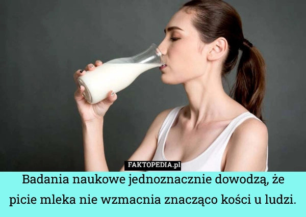 
    Badania naukowe jednoznacznie dowodzą, że picie mleka nie wzmacnia znacząco