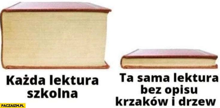 
    Każda lektura szkolna gruba książka vs ta sama bez opisu krzaków i drzew cienka