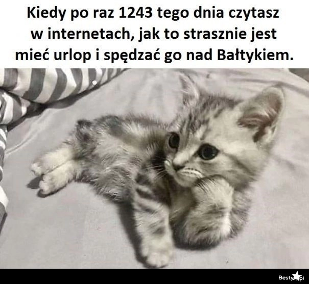 
    Urlop nad Bałtykiem 