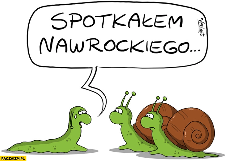 
    Ślimak bez domu domku skorupy spotkałem Nawrockiego