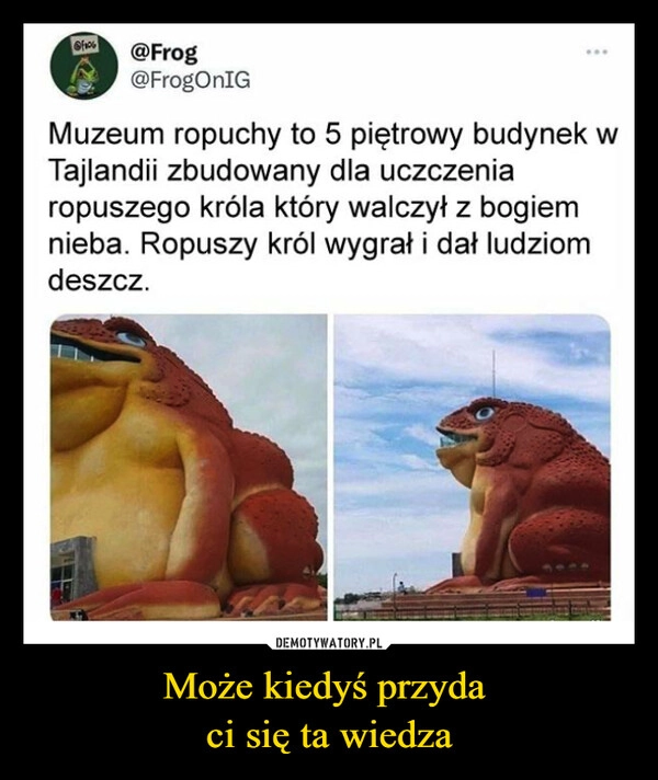 
    Może kiedyś przyda 
ci się ta wiedza