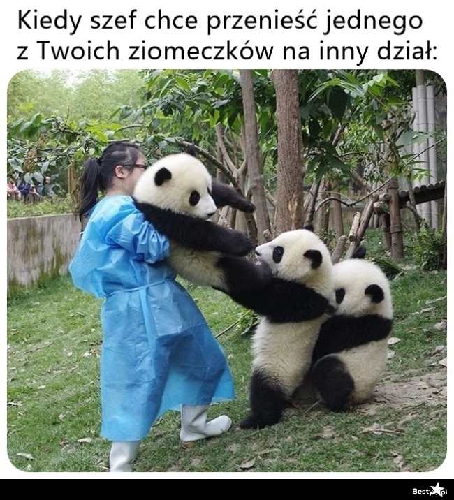 
    On zostaje z nami! 