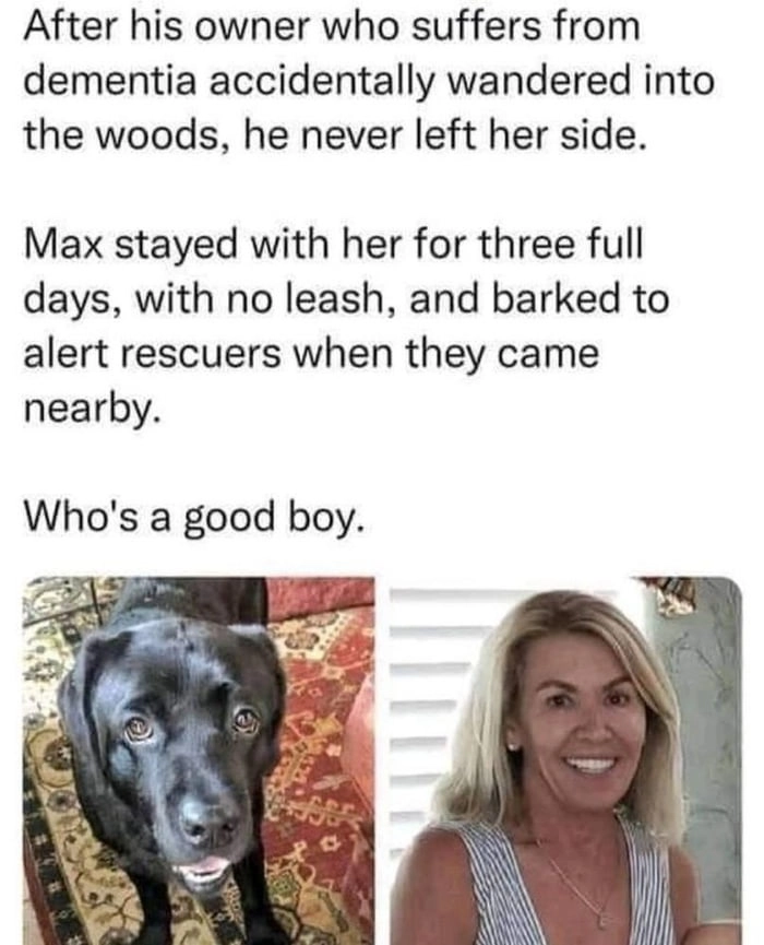 
    Max the hero dog stayed by his owner's side for three days until help arrived. True loyalty.
