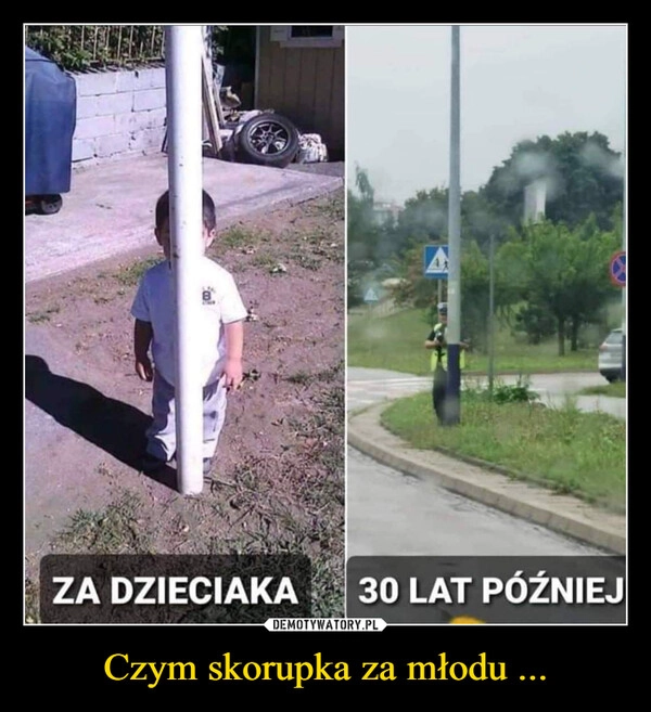 
    Czym skorupka za młodu ...