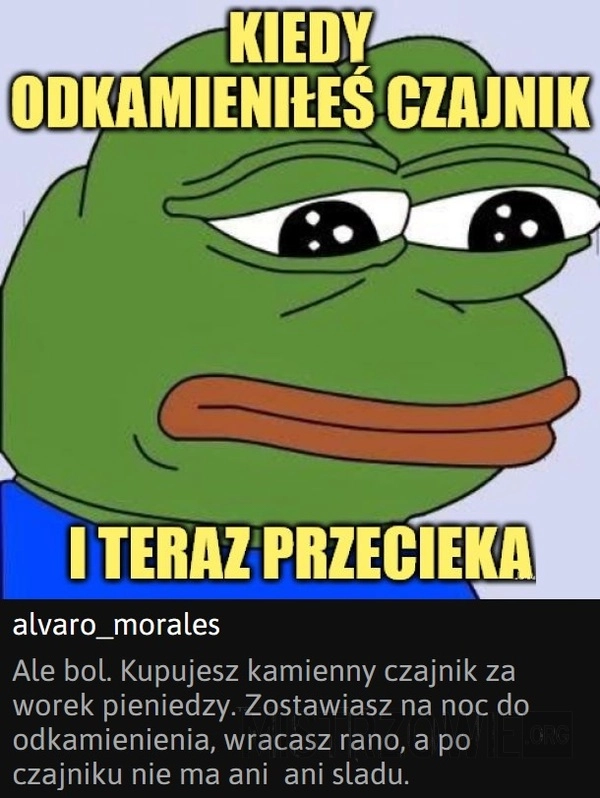 
    Czajnik