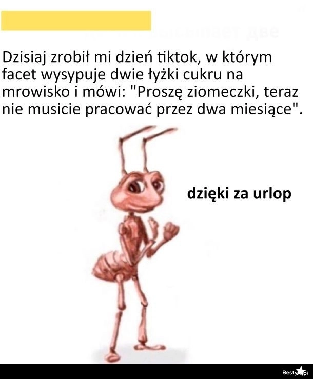 
    Urlop dla mrówek 