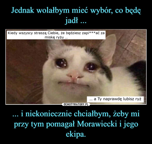 
    Jednak wolałbym mieć wybór, co będę jadł ... ... i niekoniecznie chciałbym, żeby mi przy tym pomagał Morawiecki i jego ekipa.