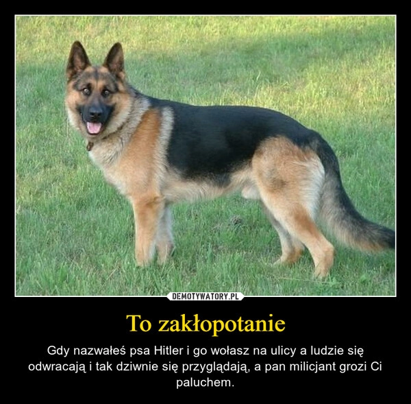 
    To zakłopotanie 